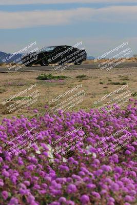 media/Jan-08-2023-SCCA SD (Sun) [[8f6a5b9391]]/Advanced Group/Session 2 (Short Straight)/